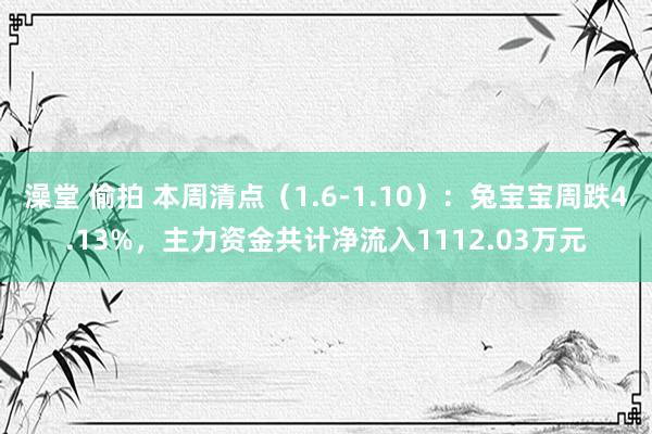 澡堂 偷拍 本周清点（1.6-1.10）：兔宝宝周跌4.13%，主力资金共计净流入1112.03万元