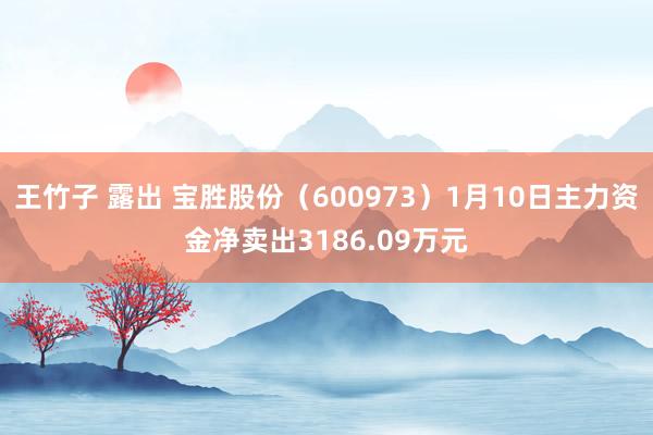 王竹子 露出 宝胜股份（600973）1月10日主力资金净卖出3186.09万元