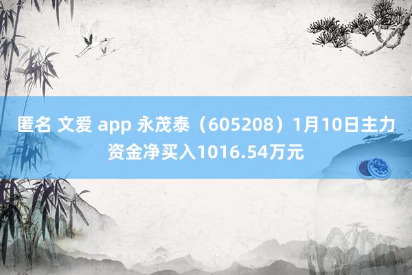 匿名 文爱 app 永茂泰（605208）1月10日主力资金净买入1016.54万元