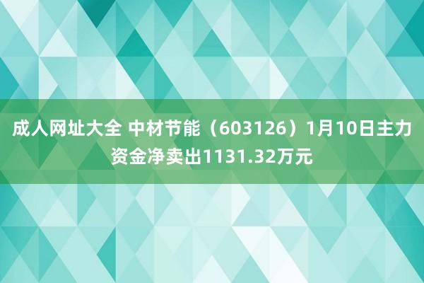 成人网址大全 中材节能（603126）1月10日主力资金净卖出1131.32万元