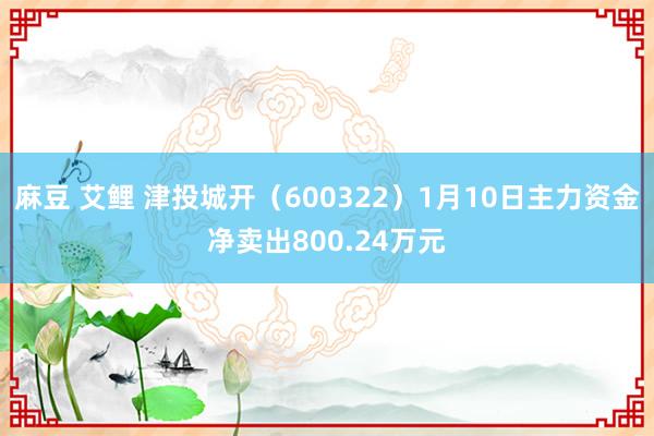 麻豆 艾鲤 津投城开（600322）1月10日主力资金净卖出800.24万元