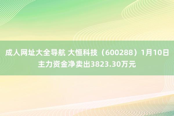 成人网址大全导航 大恒科技（600288）1月10日主力资金净卖出3823.30万元