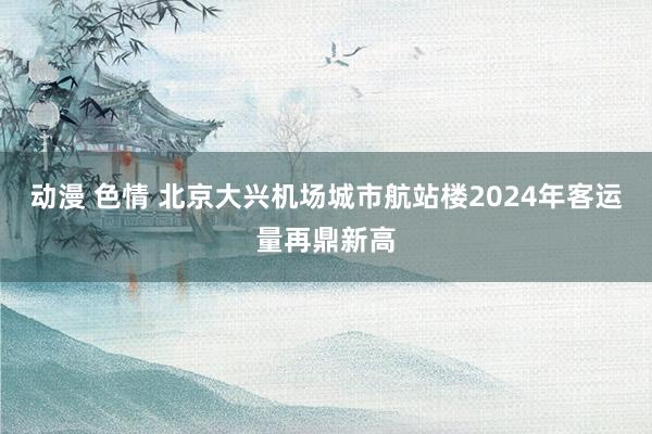 动漫 色情 北京大兴机场城市航站楼2024年客运量再鼎新高