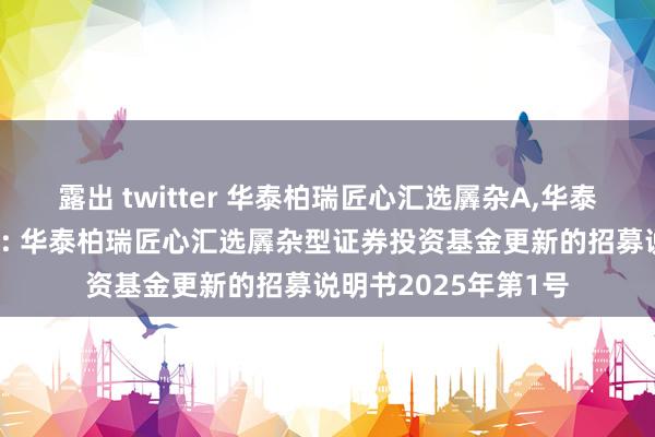 露出 twitter 华泰柏瑞匠心汇选羼杂A，华泰柏瑞匠心汇选羼杂C: 华泰柏瑞匠心汇选羼杂型证券投资基金更新的招募说明书2025年第1号