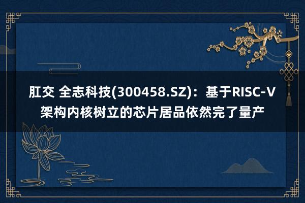 肛交 全志科技(300458.SZ)：基于RISC-V架构内核树立的芯片居品依然完了量产