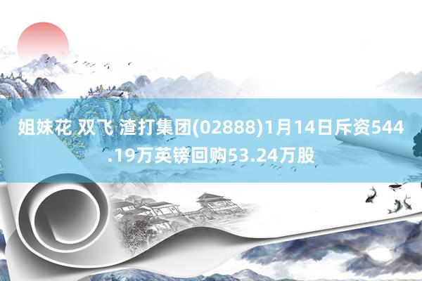 姐妹花 双飞 渣打集团(02888)1月14日斥资544.19万英镑回购53.24万股