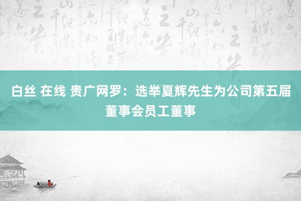 白丝 在线 贵广网罗：选举夏辉先生为公司第五届董事会员工董事