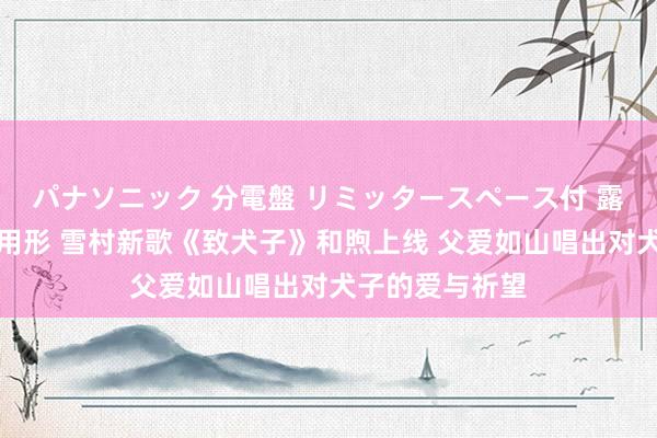 パナソニック 分電盤 リミッタースペース付 露出・半埋込両用形 雪村新歌《致犬子》和煦上线 父爱如山唱出对犬子的爱与祈望