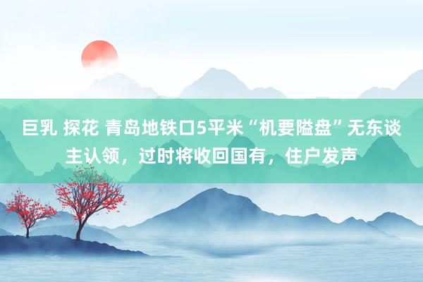 巨乳 探花 青岛地铁口5平米“机要隘盘”无东谈主认领，过时将收回国有，住户发声