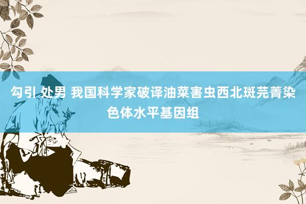 勾引 处男 我国科学家破译油菜害虫西北斑芫菁染色体水平基因组
